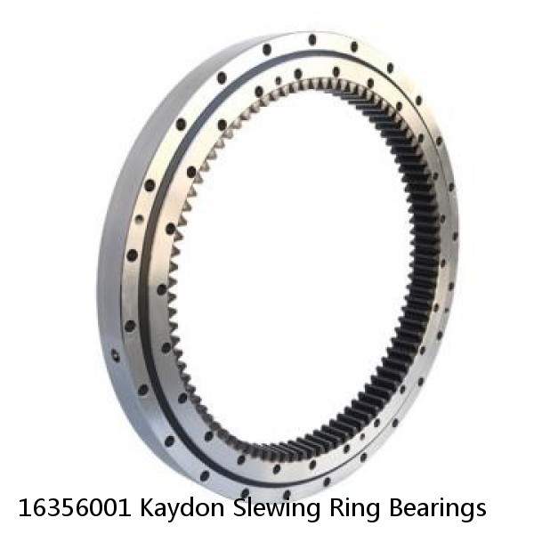 16356001 Kaydon Slewing Ring Bearings