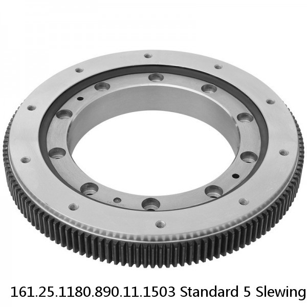 161.25.1180.890.11.1503 Standard 5 Slewing Ring Bearings