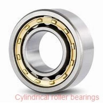 American Roller ARA 317-H Cylindrical Roller Bearings