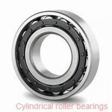 American Roller HCS 273 Cylindrical Roller Bearings