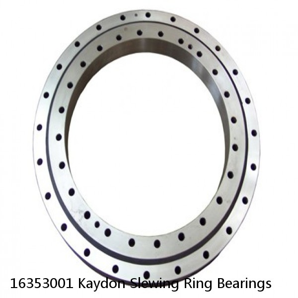 16353001 Kaydon Slewing Ring Bearings #1 small image