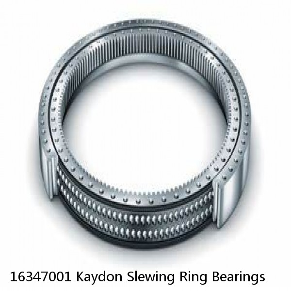 16347001 Kaydon Slewing Ring Bearings #1 small image