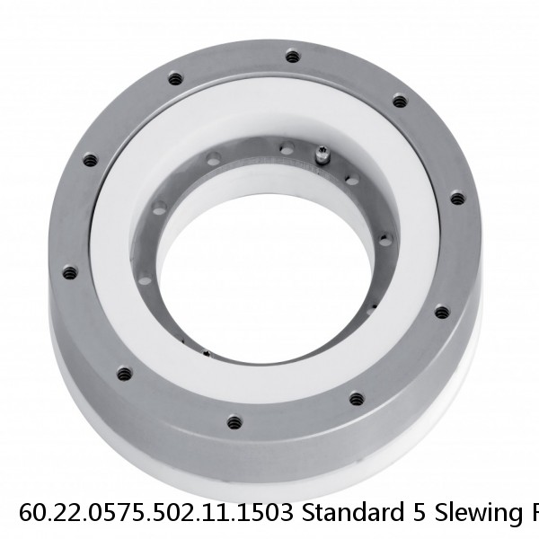 60.22.0575.502.11.1503 Standard 5 Slewing Ring Bearings #1 small image
