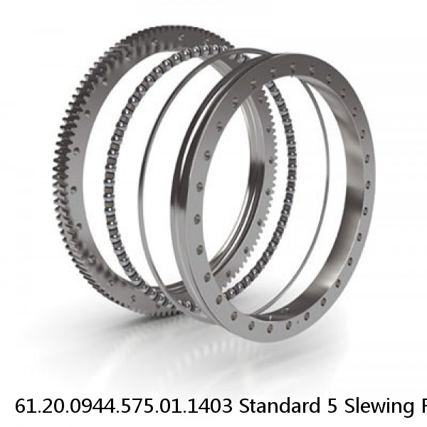 61.20.0944.575.01.1403 Standard 5 Slewing Ring Bearings