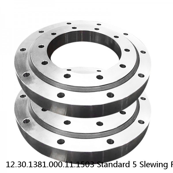12.30.1381.000.11.1503 Standard 5 Slewing Ring Bearings #1 small image
