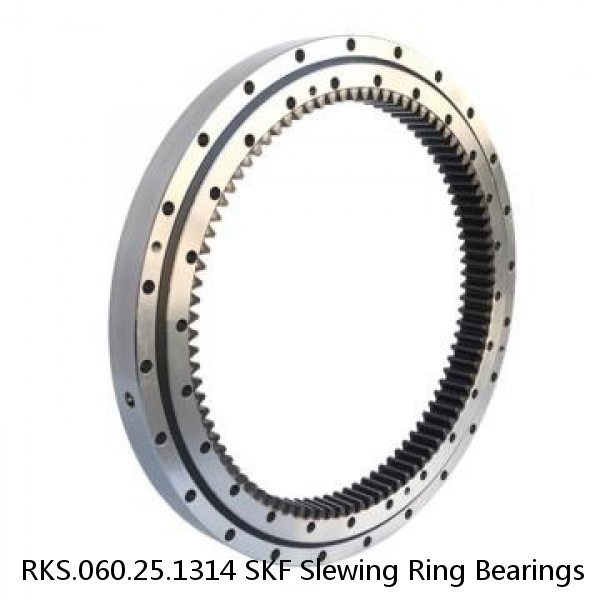 RKS.060.25.1314 SKF Slewing Ring Bearings #1 image