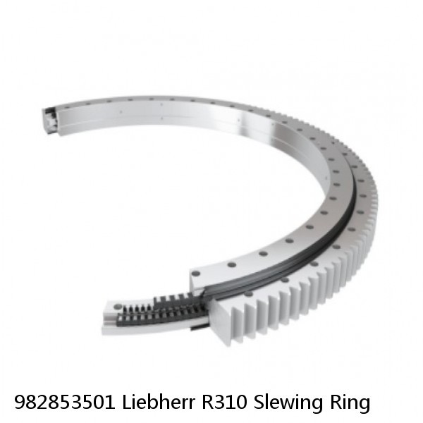 982853501 Liebherr R310 Slewing Ring #1 image