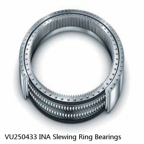 VU250433 INA Slewing Ring Bearings #1 image