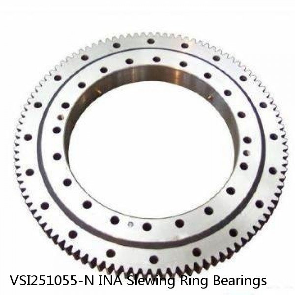 VSI251055-N INA Slewing Ring Bearings #1 image