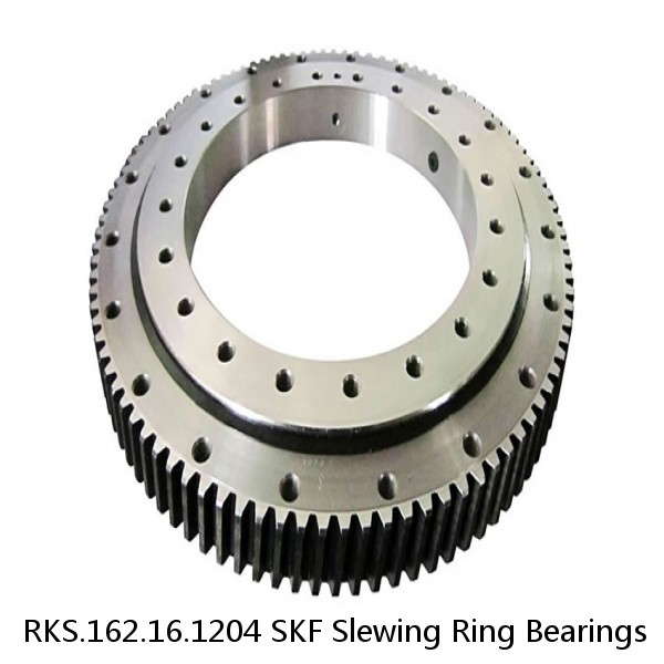 RKS.162.16.1204 SKF Slewing Ring Bearings #1 image