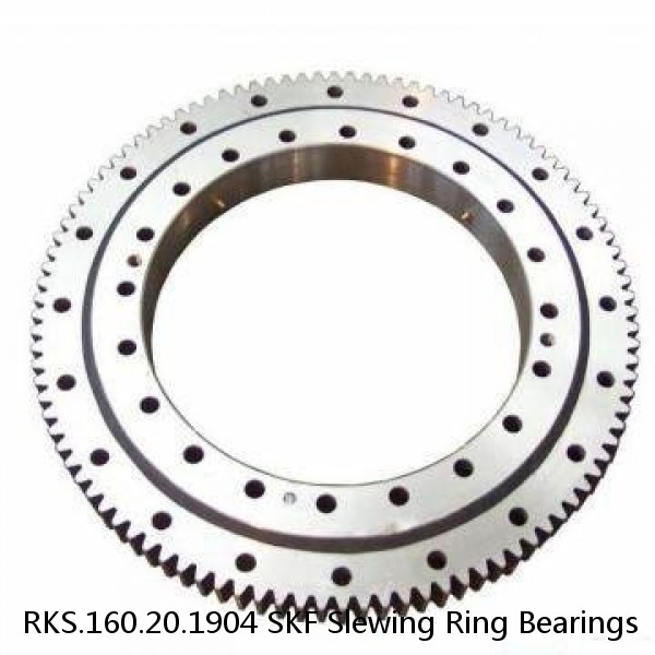RKS.160.20.1904 SKF Slewing Ring Bearings #1 image