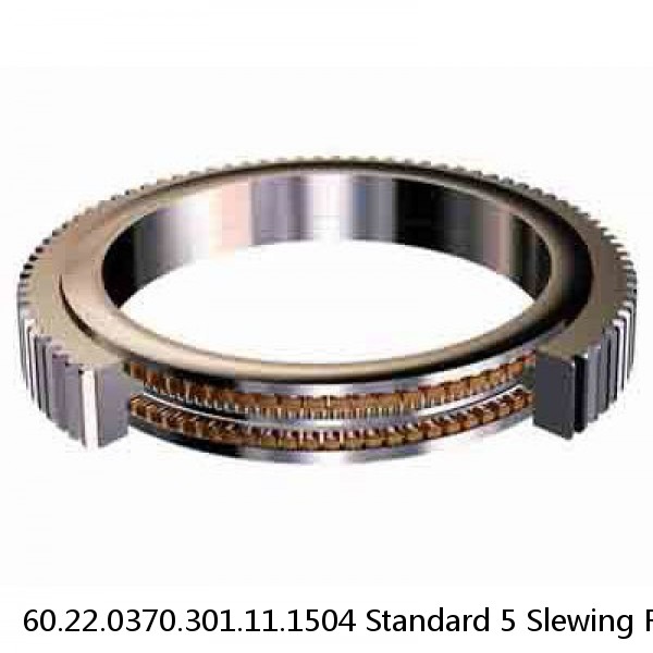 60.22.0370.301.11.1504 Standard 5 Slewing Ring Bearings #1 image