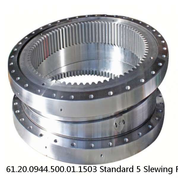 61.20.0944.500.01.1503 Standard 5 Slewing Ring Bearings #1 image