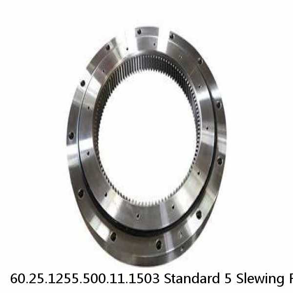 60.25.1255.500.11.1503 Standard 5 Slewing Ring Bearings #1 image
