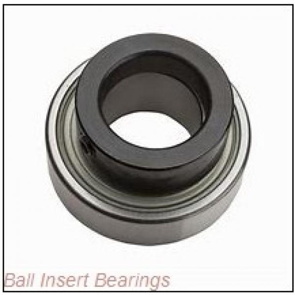 AMI MSER206-19RF Ball Insert Bearings #1 image